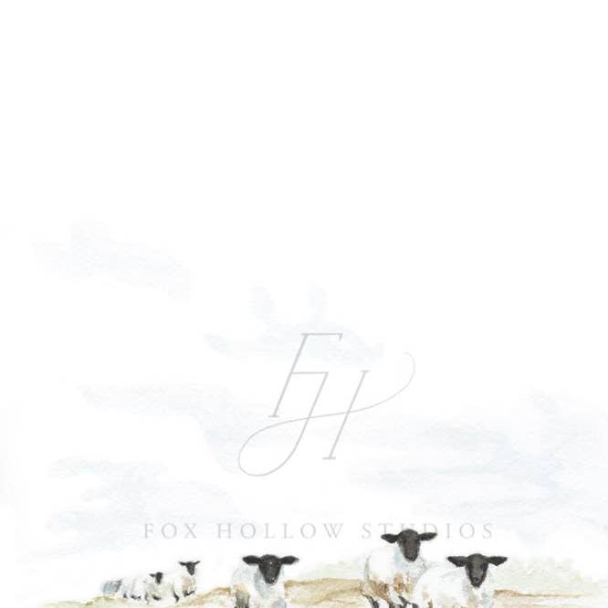 Tabitha Paige - Wholesale Art Print - Sheep Art Print2