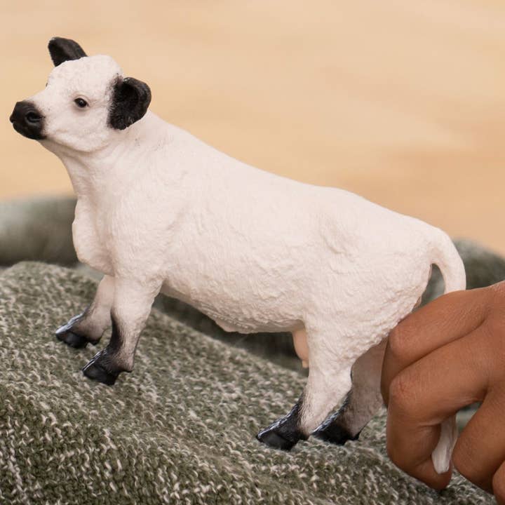 Schleich - Wholesale Figurine Toy - Kids - Galloway Cattle Farm Toy