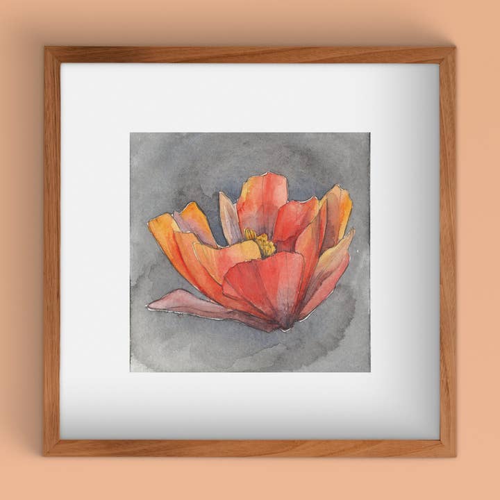 Cholla Blossom I | Watercolor Art Print for wholesale by Cacti Oasis©