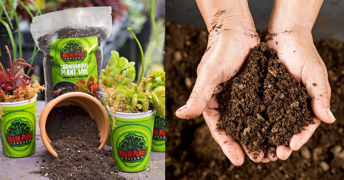 Killer Plant Company - Wholesale Planting/Potting Soil - Optimal Carnivorous Plant Soil Mix2