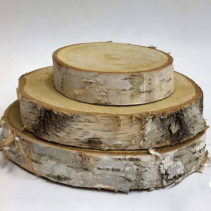 6" Birch Disk for wholesale by Winter Woods