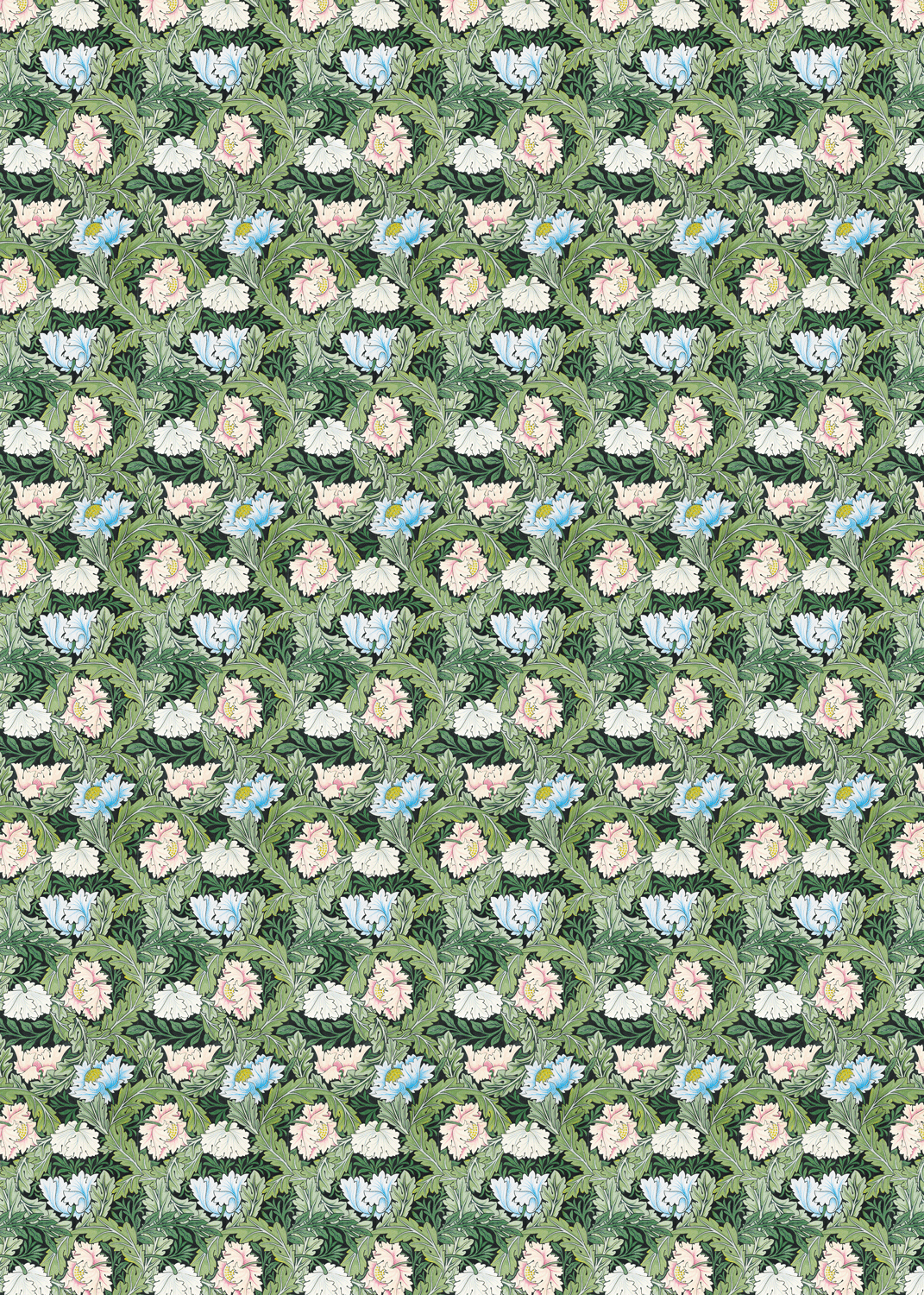 Ezen Trade - Wholesale Flat wrap - POPPIES AND ACANTHUS FLOWERS: Wrapping Paper1