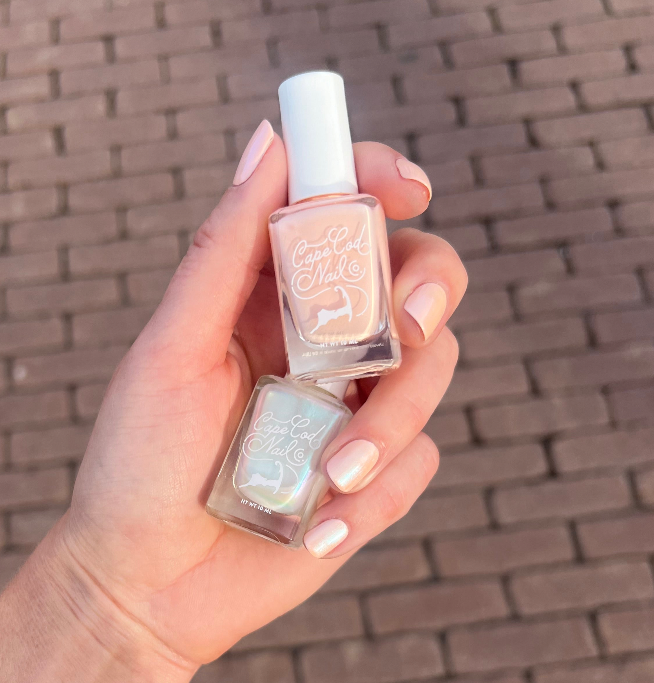 Cape Cod Nail Co. - Venta al por mayor Esmaltes de uñas - Ella vende conchas marinas7