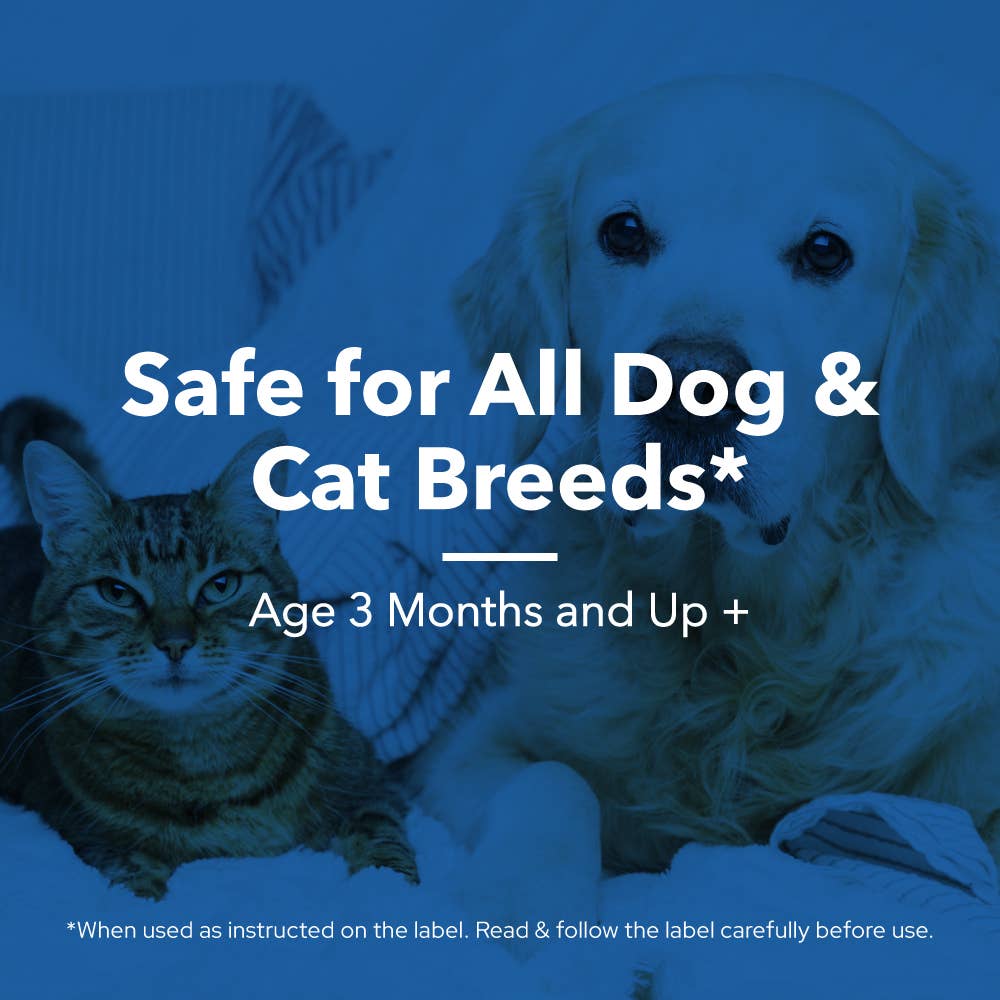 Petpal – wholesale Pet cleaning supplies – Pet&PalMD Chlorhexidine Pet Pads - 30Pads3