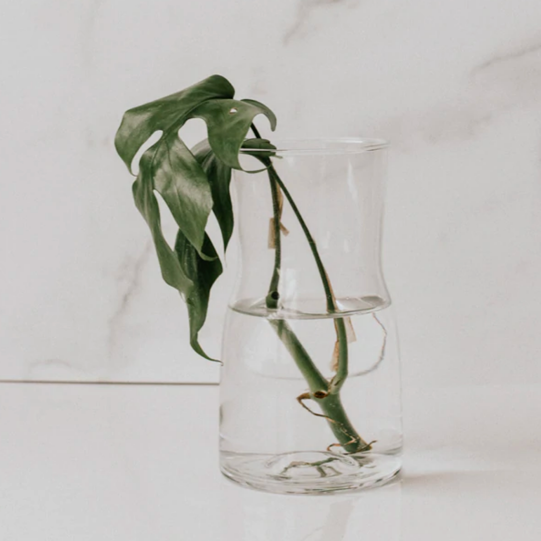 Janet Gwen - Wholesale Vase - Glass Propagation Vase1