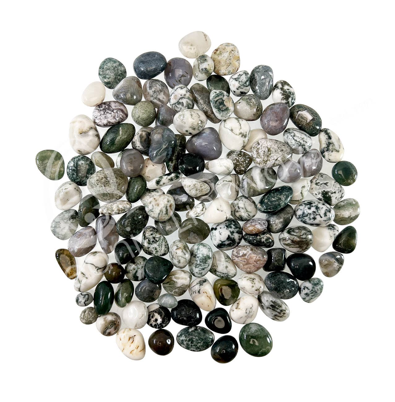 Oceanic Linkways Inc - Wholesale Spiritual Stone/Crystal - (KG)TUMBLED STONES - AGATE, TREE & GREEN MOSS 15-30 MM0