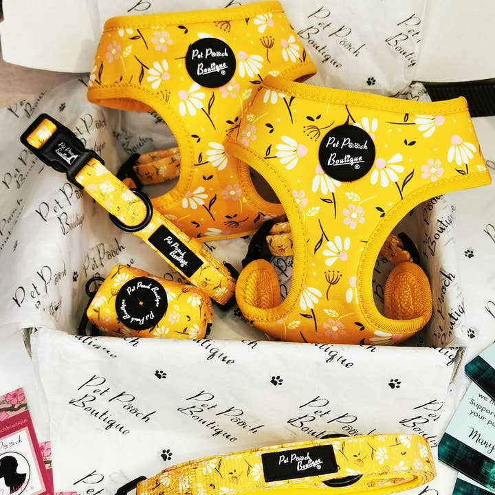 Pet Pooch Boutique - Vente Harnais – chien - Harnais pour chien Sunshine Daisy avec accessoire fleur optionnel9