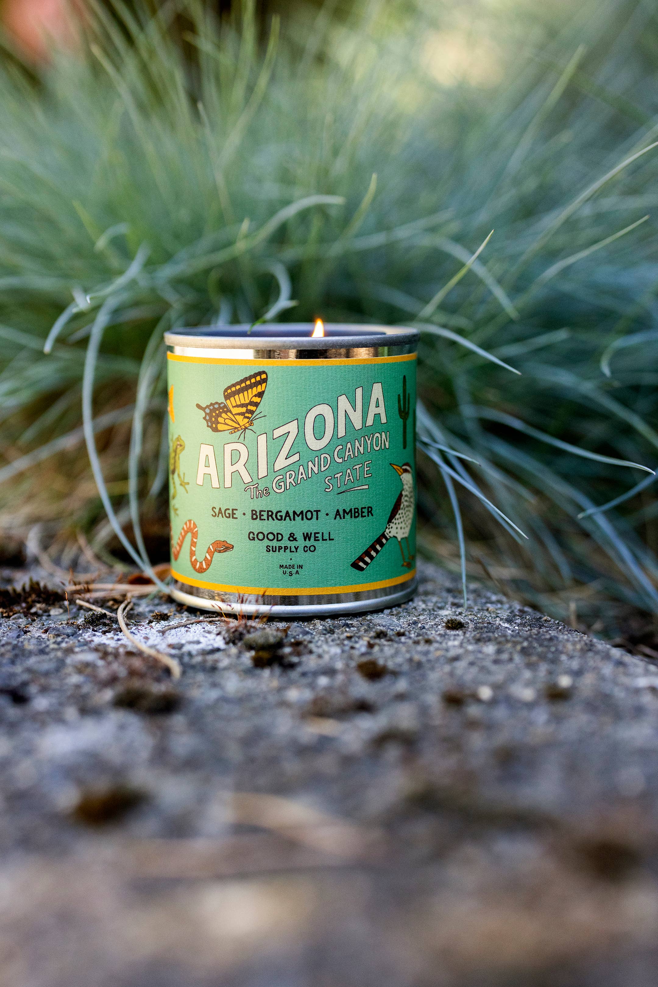 Good & Well Supply Co. – Vela em jarro/copo por atacado – Vela de Soja do Estado do Arizona2
