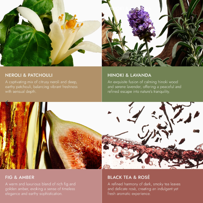 VOESH New York - Wholesale Hand Cream/Lotion - HOLIDAY '25: Hand Balm Set2