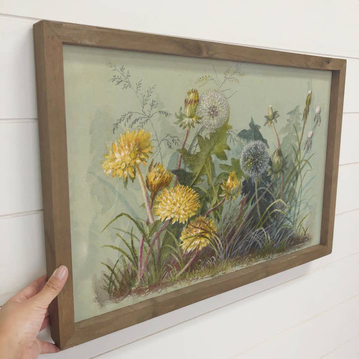 Hangout Home - Wholesale Art Print - Dandelion Botanicals - Flower Canvas Art - Wood Framed Art2