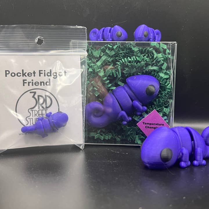 Third St. Studio - Wholesale Fidget Toy - Kids - Chameleon5