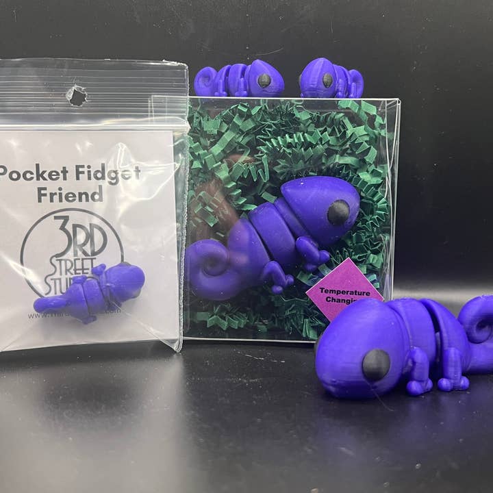 Third St. Studio - Wholesale Fidget Toy - Kids - Chameleon