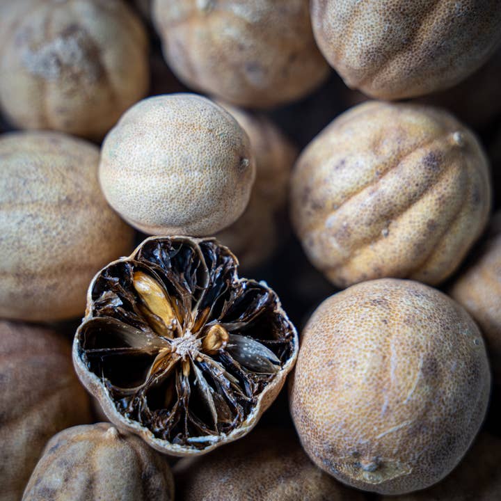 Loose White Lemons for wholesale by RAYA