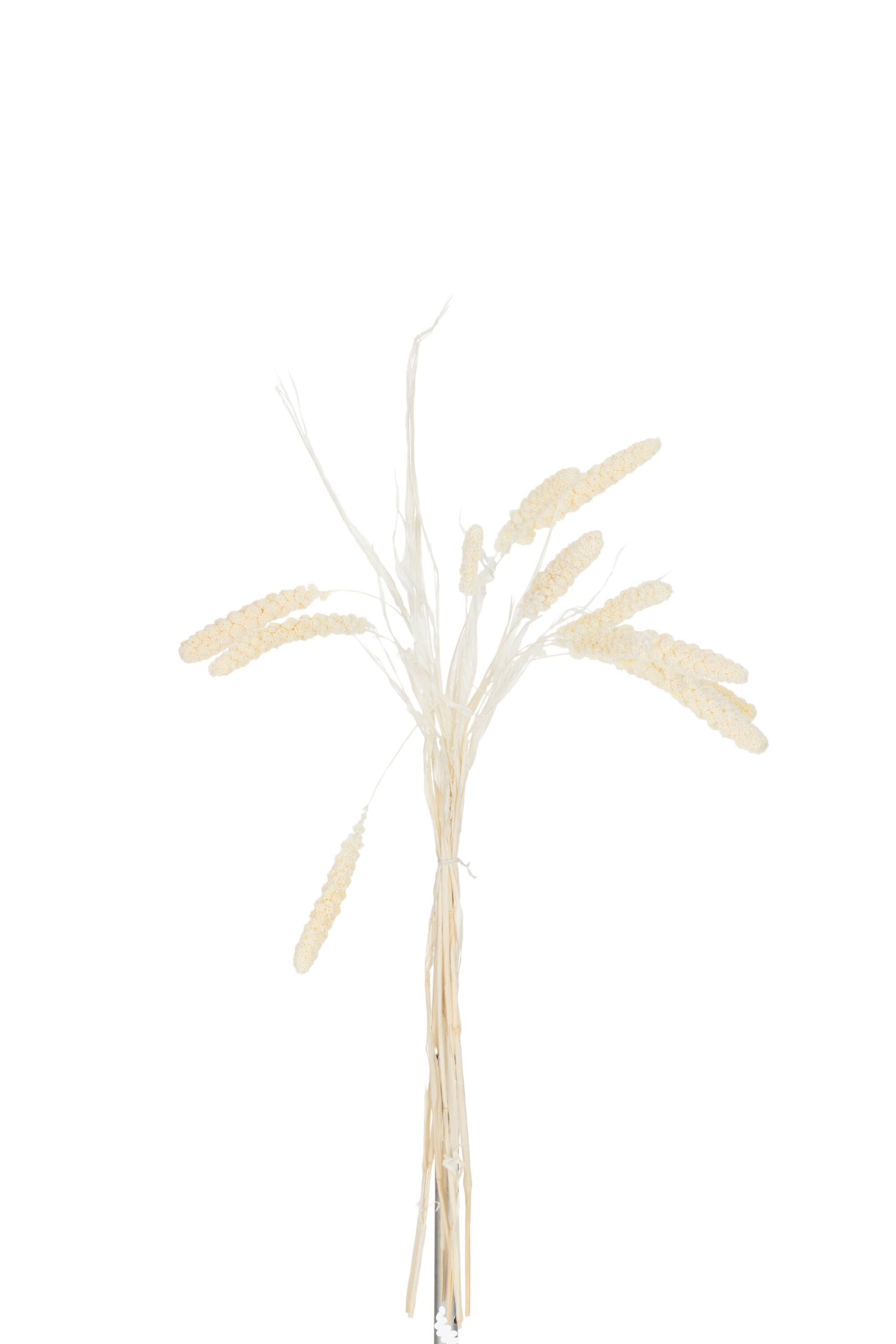 .AVPV. Studio - Wholesale Dried/Pressed Flowers - Dried Millet1