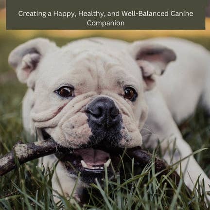 Books by splitShops - Wholesale Pets - Pitbull Harmony: The Art of Training and Understanding: The art of Training and Understanding: Creating a Happy, Healthy, and Well-Bala - Paperback