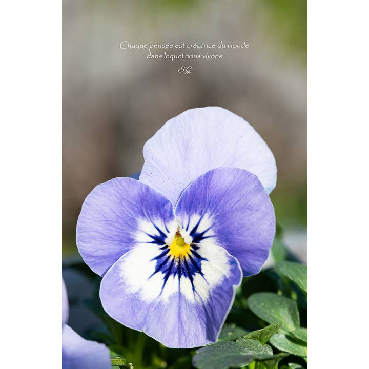 Pensiero creativo per la vendita all'ingrosso da parte di L'Ecriture D'Un Regard