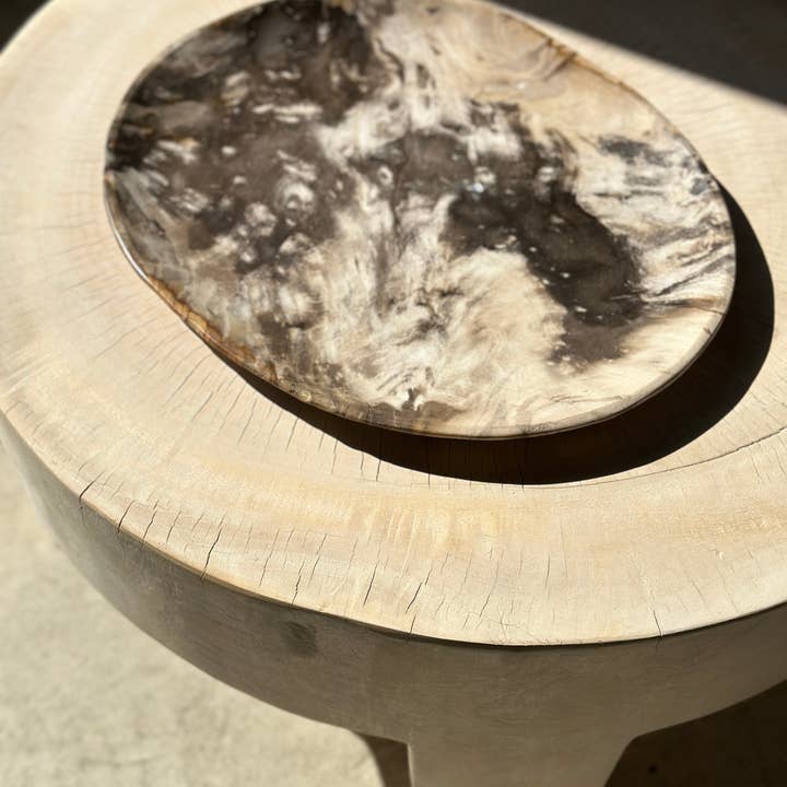 Office Objets - Wholesale Decorative Plate/Dish/Bowl - Very large catchall or dish in petrified wood36