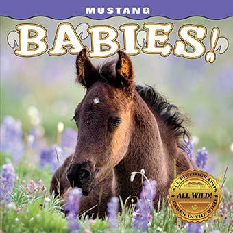 Mustang Babies for wholesale by Farcountry Press