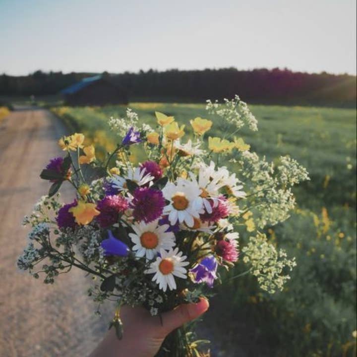 Hyalite & Co - Wholesale Jar/Filled Candle - Wildflower Bouquet