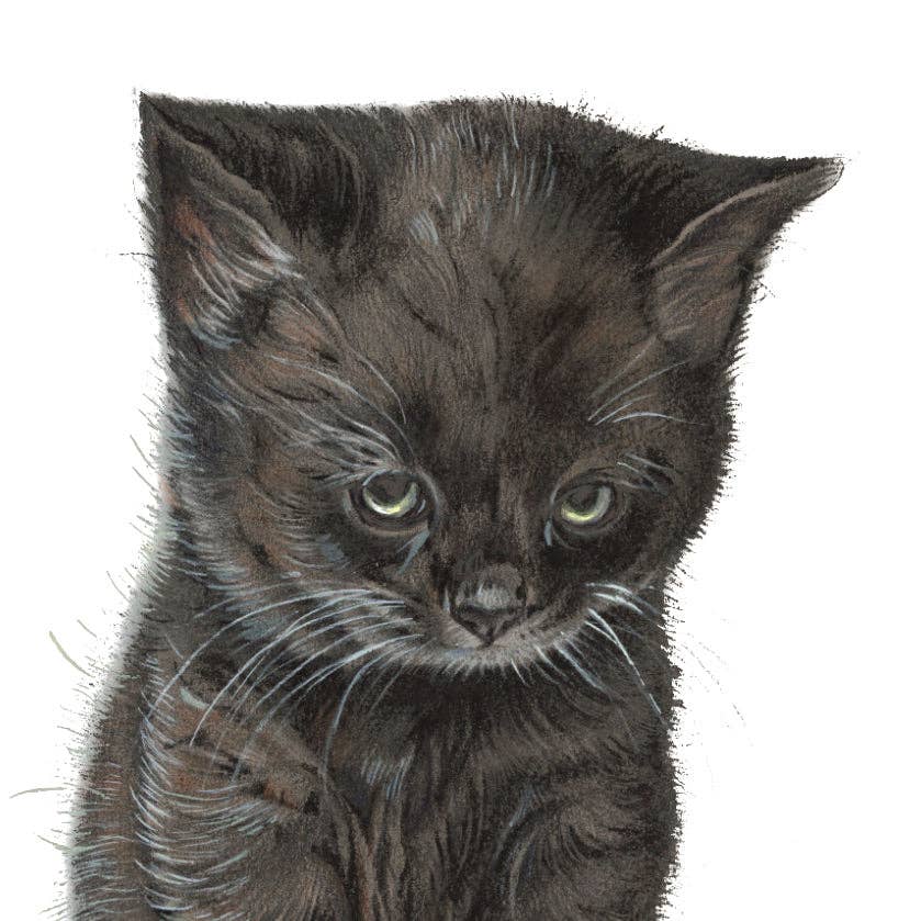 Animal Prints - Venta al por mayor Imanes - Imán para refrigerador - Gato negro0