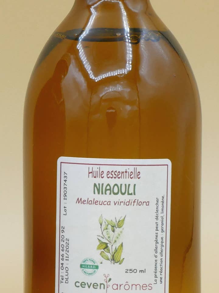 Niaouli Ätherisches Öl HEBBD 250ml für den Großhandel von Céven'Arômes