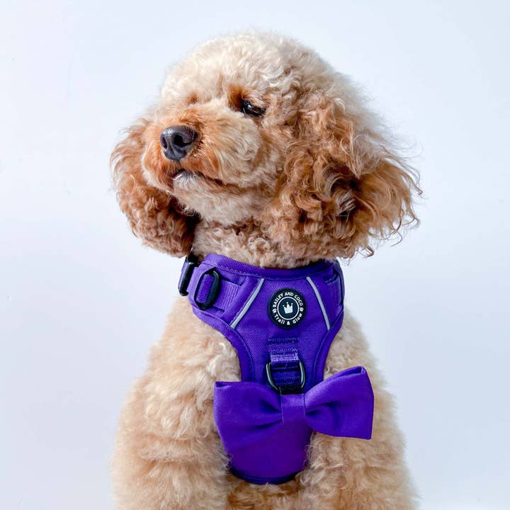 Bailey and Coco - Wholesale Pet Harness - Dog - Trail & Glow® Dog Harness - The Royal Purple One