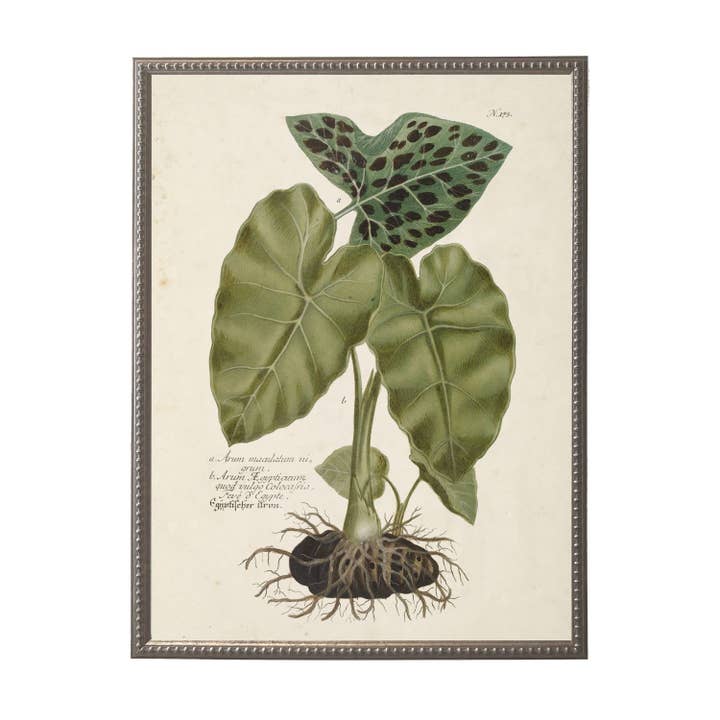 Ex-líbris M vintage com flores em fundo desgastado por atacado de Antique Curiosities Inc