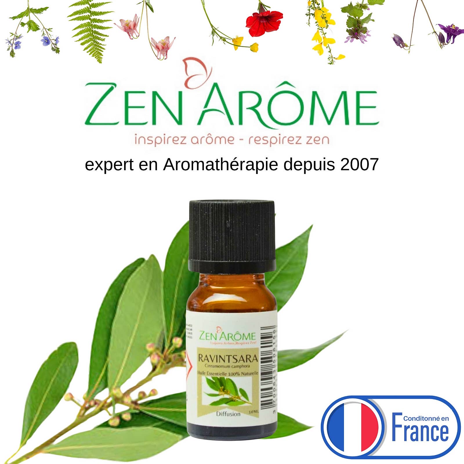 Zen'Arôme – Großhandel Ätherisches Öl – Ravintsara ätherisches Öl - 100% natürlich - 10ml4
