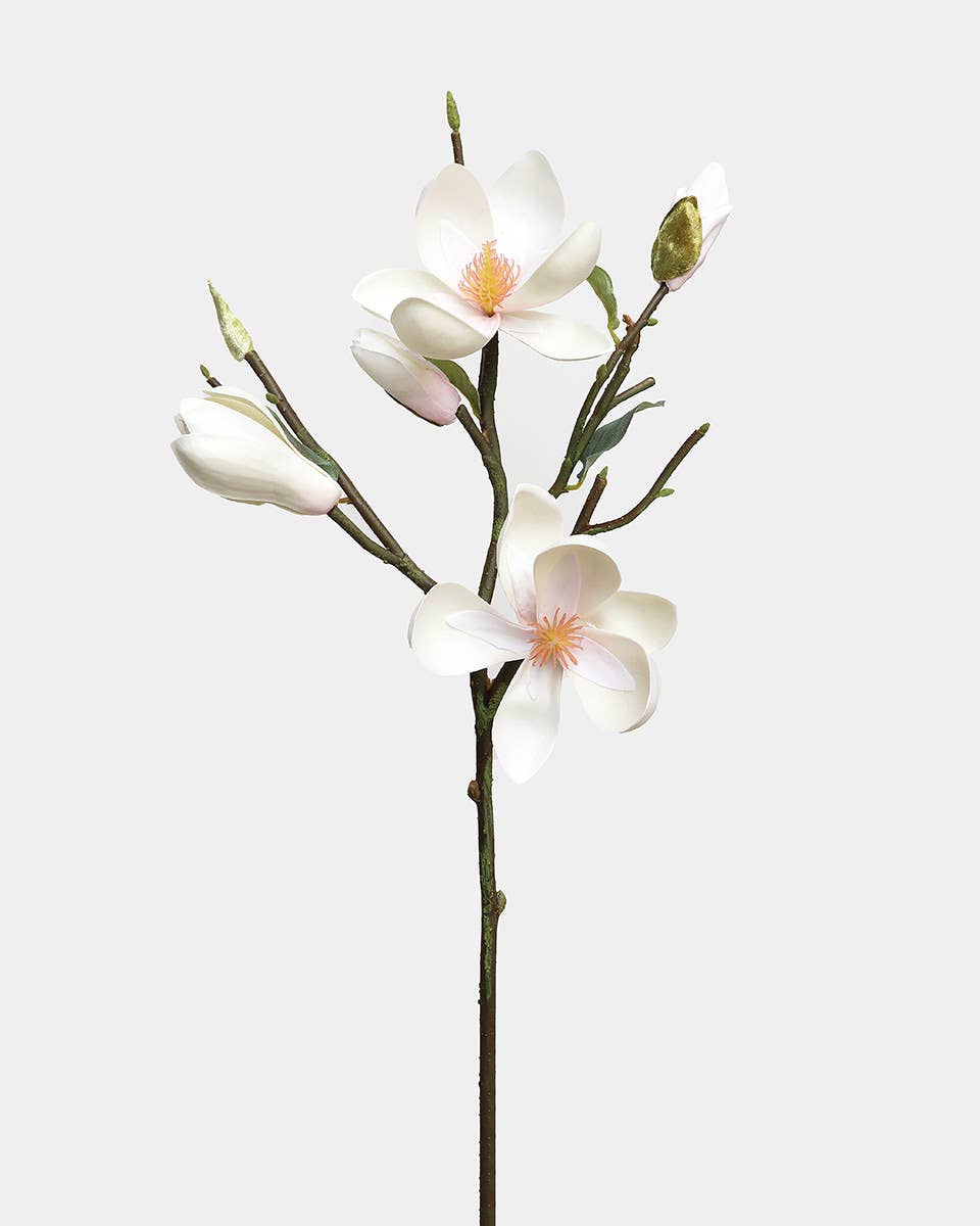 Prestige Botanicals - Wholesale Artificial flowers - White Magnolia Tulip 20"
