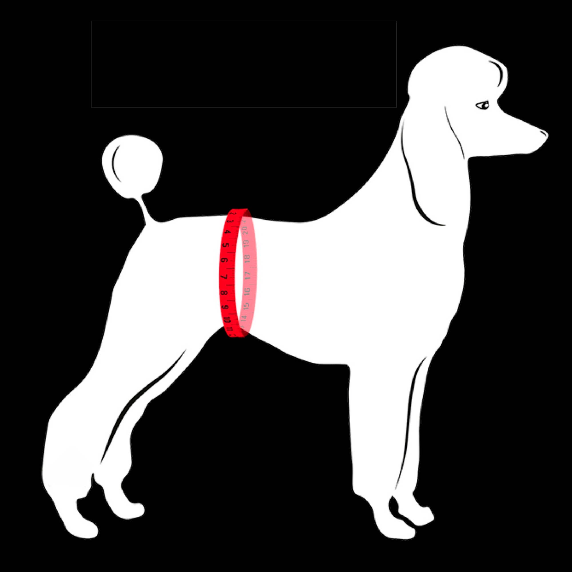 FINNERO - Wholesale Pet Belly Band - Dog - FINNERO JUSTINCASE Male Dog Wrap, 4 Colors, Washable Diaper12