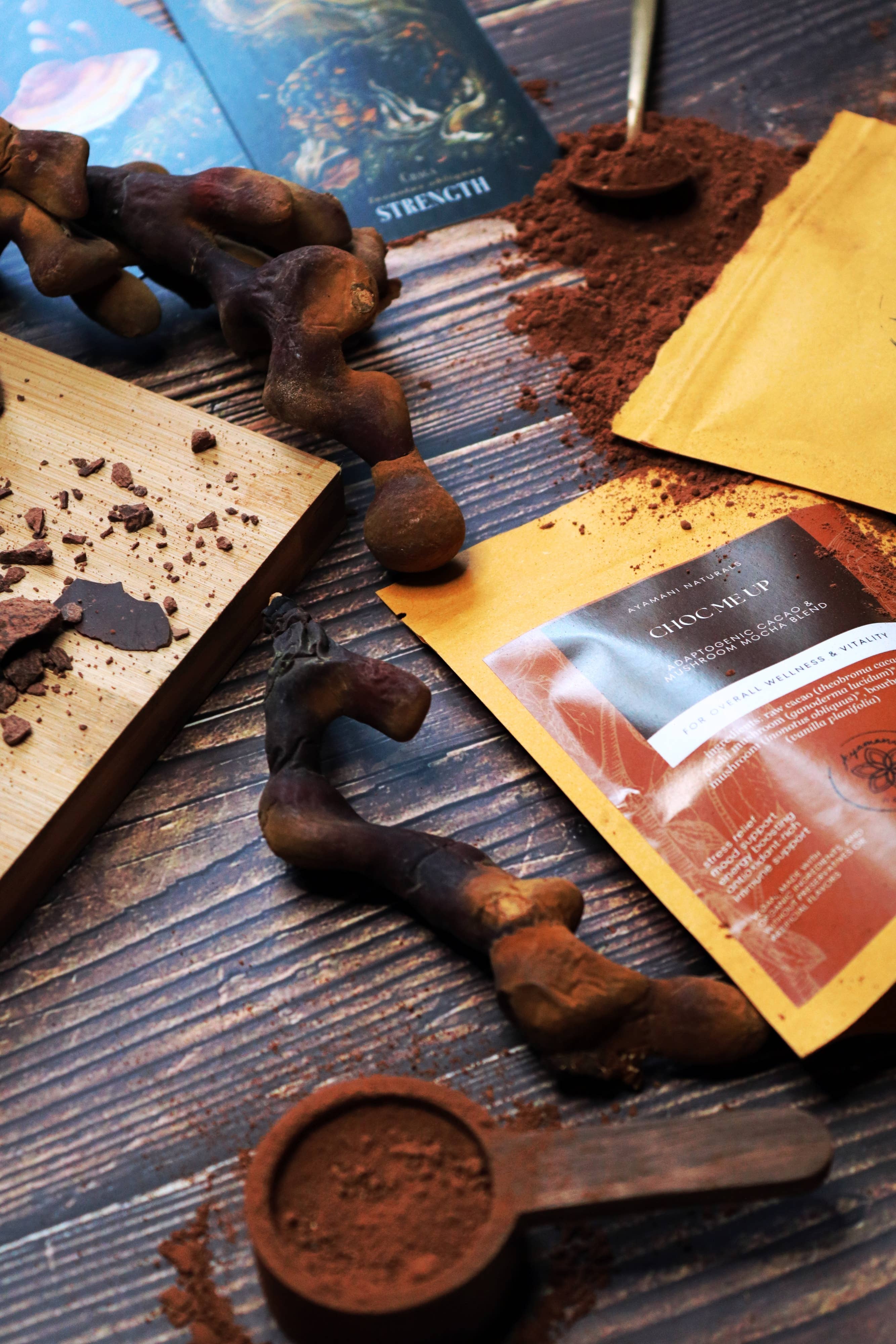 Ayamani Naturals - Vendita all'ingrosso Mix per cioccolata calda - Choc Me Up | Mocha al fungo con reishi, chaga, vaniglia e cacao2