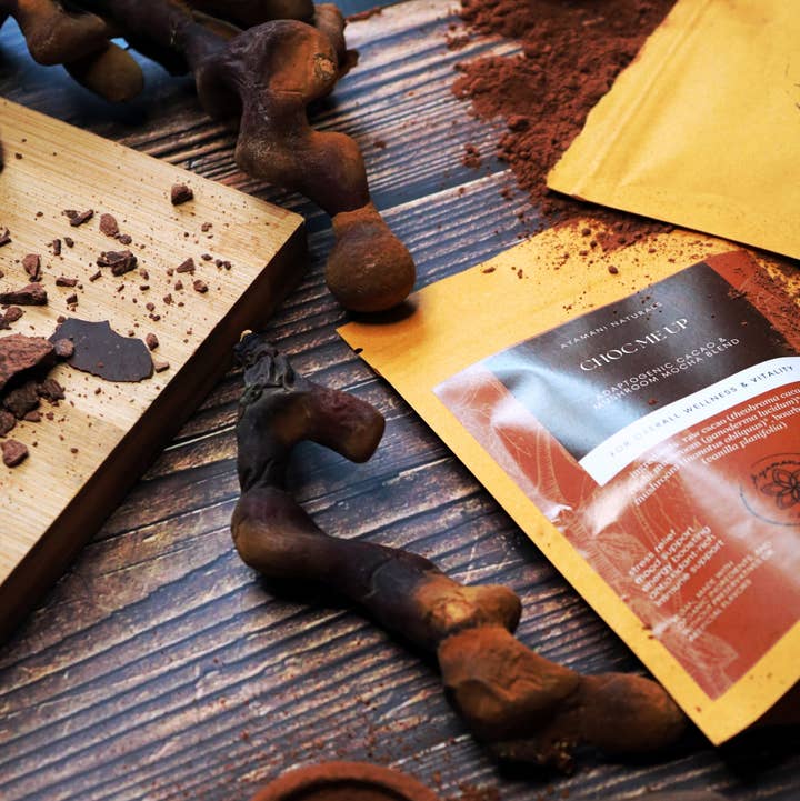 Ayamani Naturals – Engroshandel Varm kakaoblanding – CHOC ME UP | Svampe Mocha med Reishi, Chaga, Vanilje og Kakaopulver2