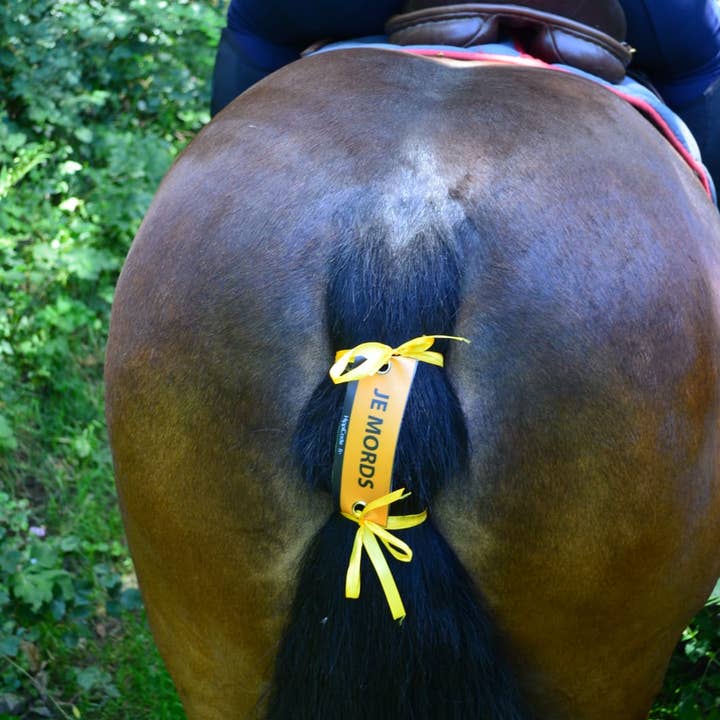 HippiCode® Carnations I BITE for wholesale by AniCode