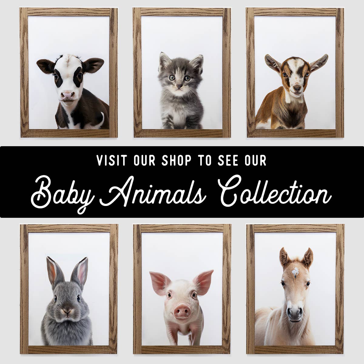 Hangout Home - Wholesale Sign - Baby Highland Cow Wood Farmhouse Sign Cute Animal Wall Art2