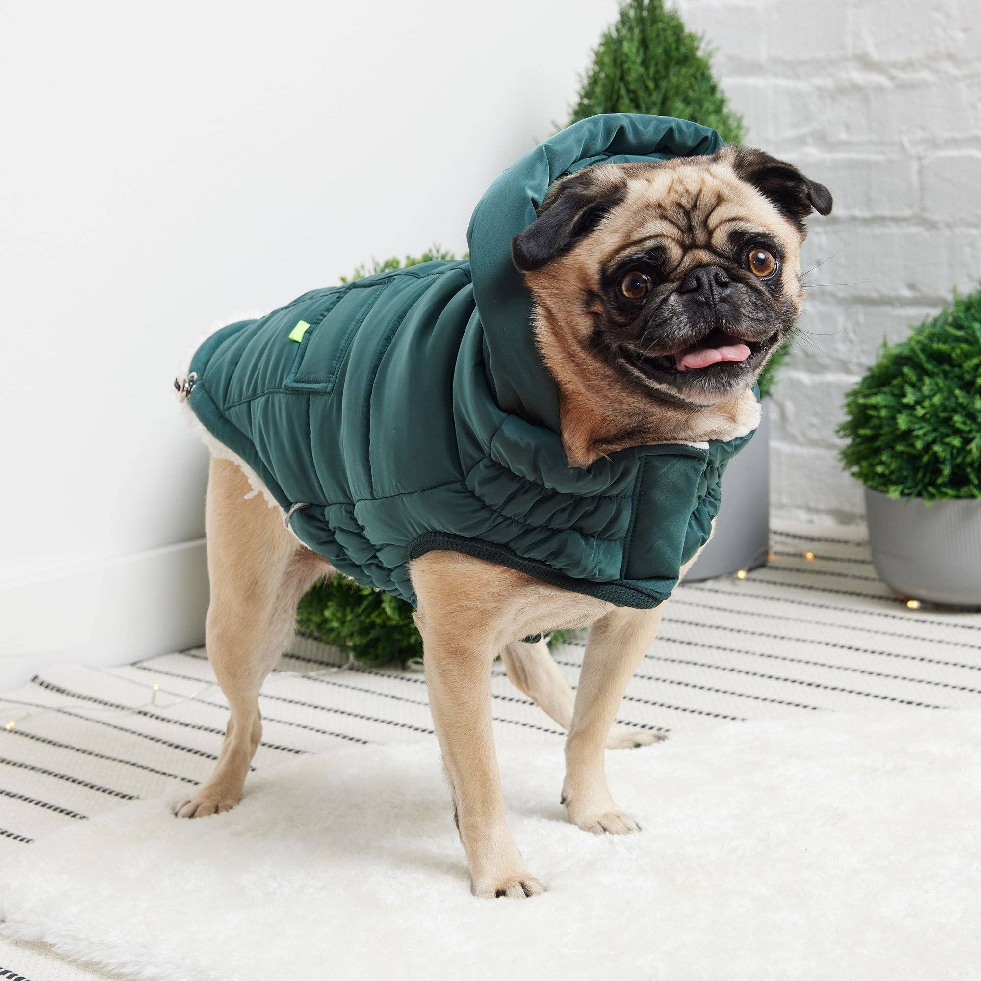 GF Pet - Venta al por mayor Abrigo - Perros - Parka GF Pet The Puff, color verde azulado3