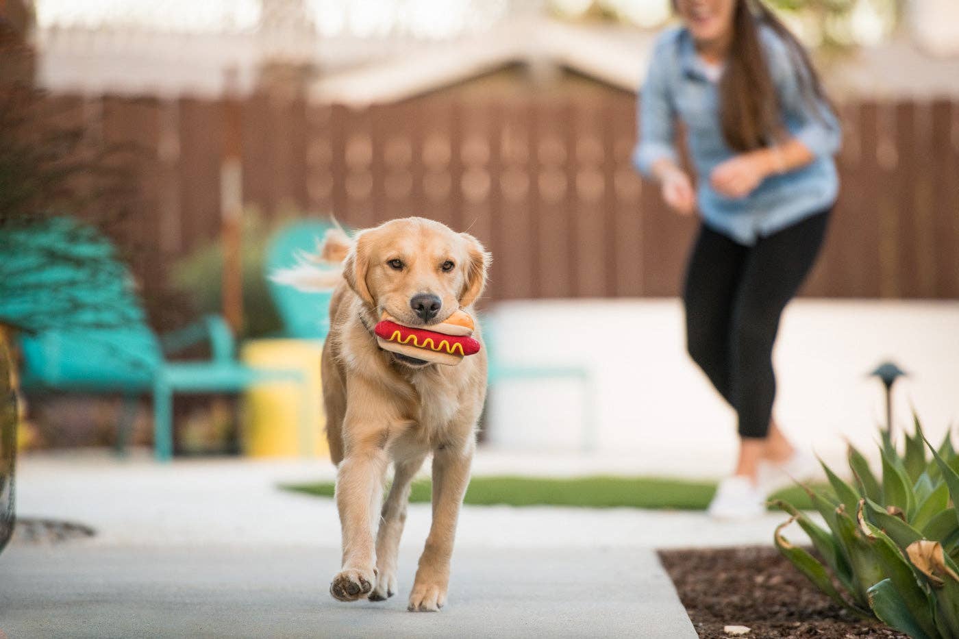 Only An Ocean Europe - Wholesale Pet Plush Toy - Dog - P.L.A.Y American Classic Hot Diggy Dog4