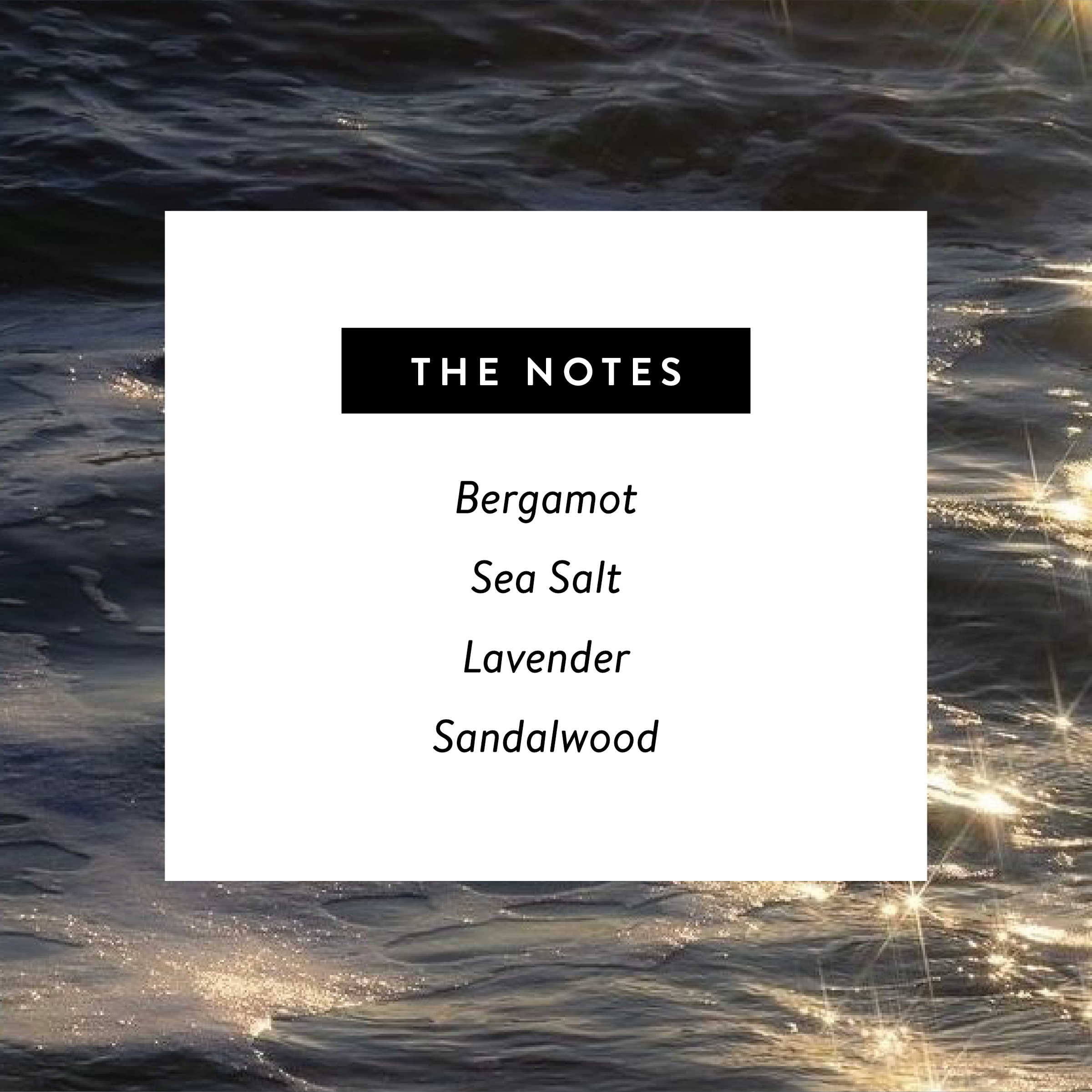 West Clay Company - Wholesale Perfume/Eau de Toilette - Midnight Moon 🌙 Perfume - Nontoxic Eau De Parfum 1.7oz1