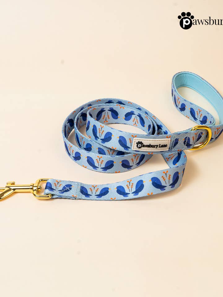 Laisse pour animaux - Inséparables pour la vente par Pawsbury Lane