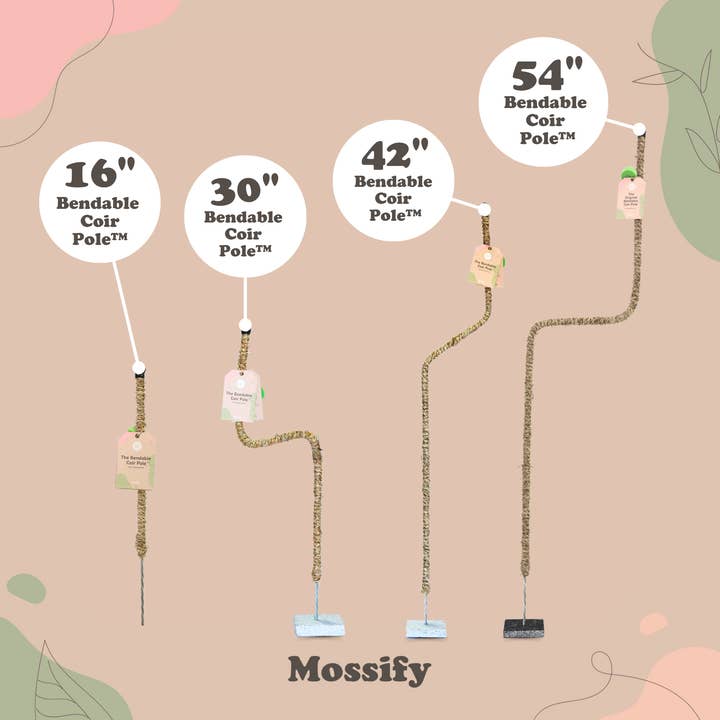 Mossify - Wholesale Trellis - Bendable Coir Pole™ – Flexible Plant Support for Tropicals1