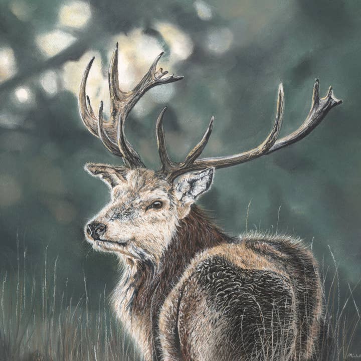 Impresión del pastel original 'Hindsight' para venta al por mayor de Michelle Hewitt Wildlife Artist