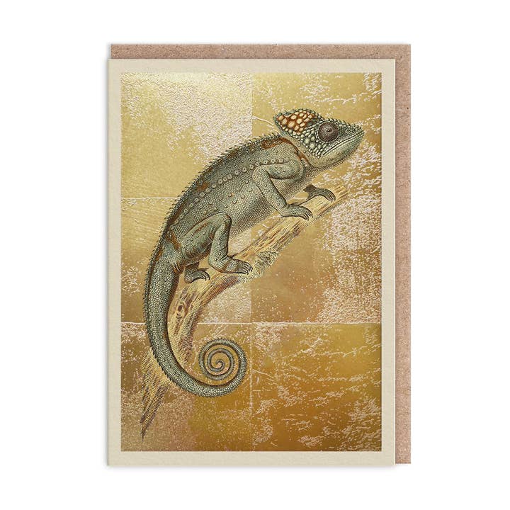 Cameleon Verruqueux Greeting Card (11992) for wholesale by Ohh Deer UK + EU