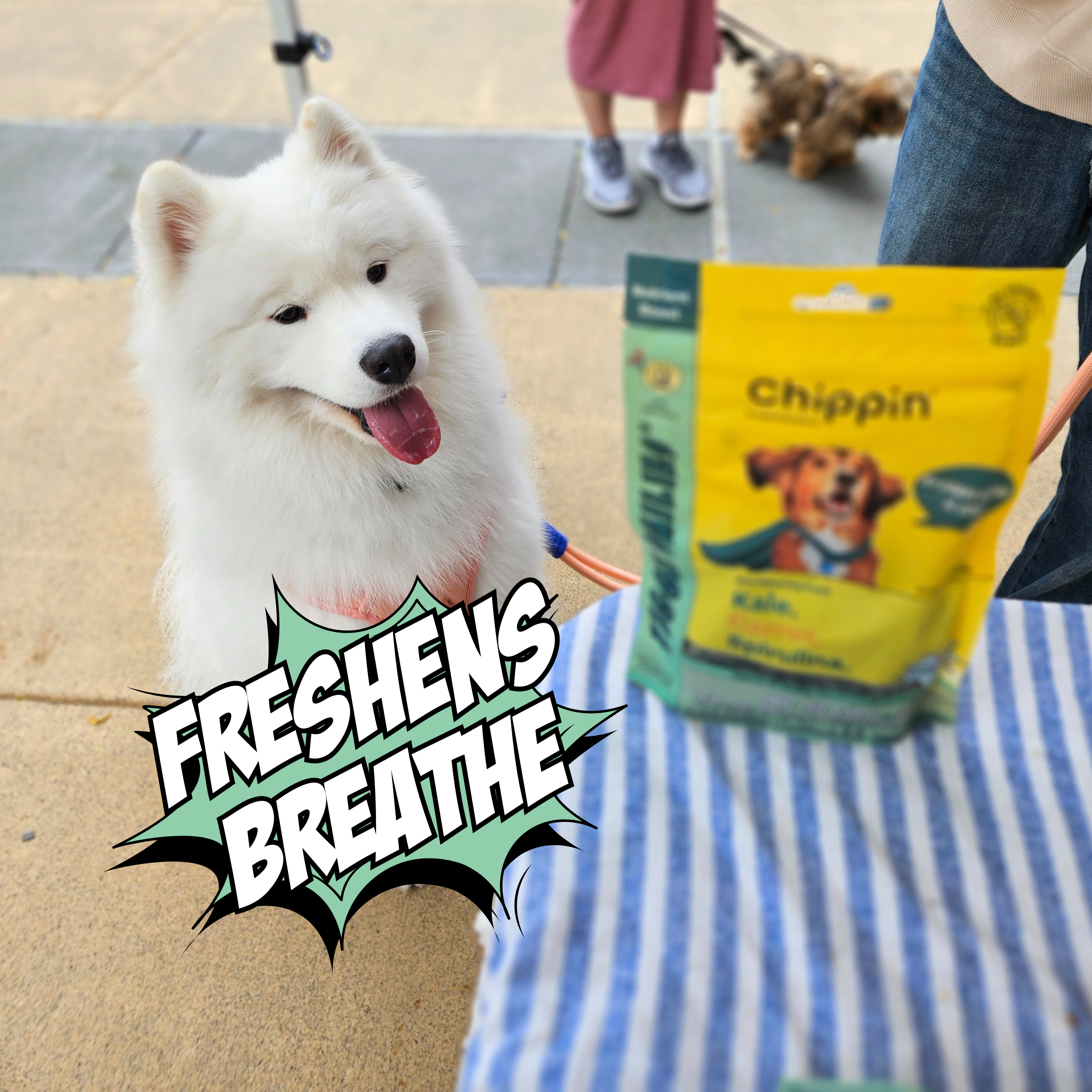 Chippin - Wholesale Pet Treats - Dog - Veggie Dailies Kale Carrot Spirulina Dog Treats7