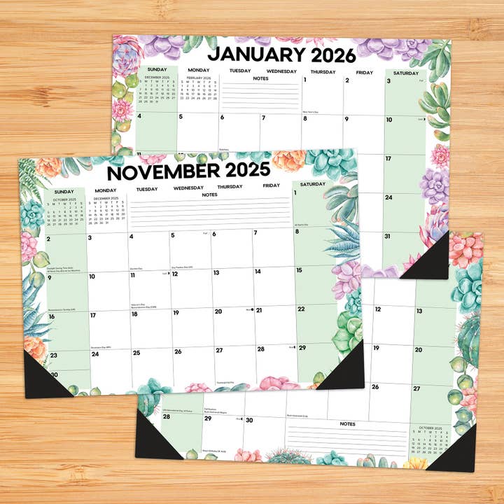 Willow Creek Press & Gifts - Wholesale Calendar - Succulents Academic July 2025 - June 2026 17" x 12" Small Monthly Desk Pad3