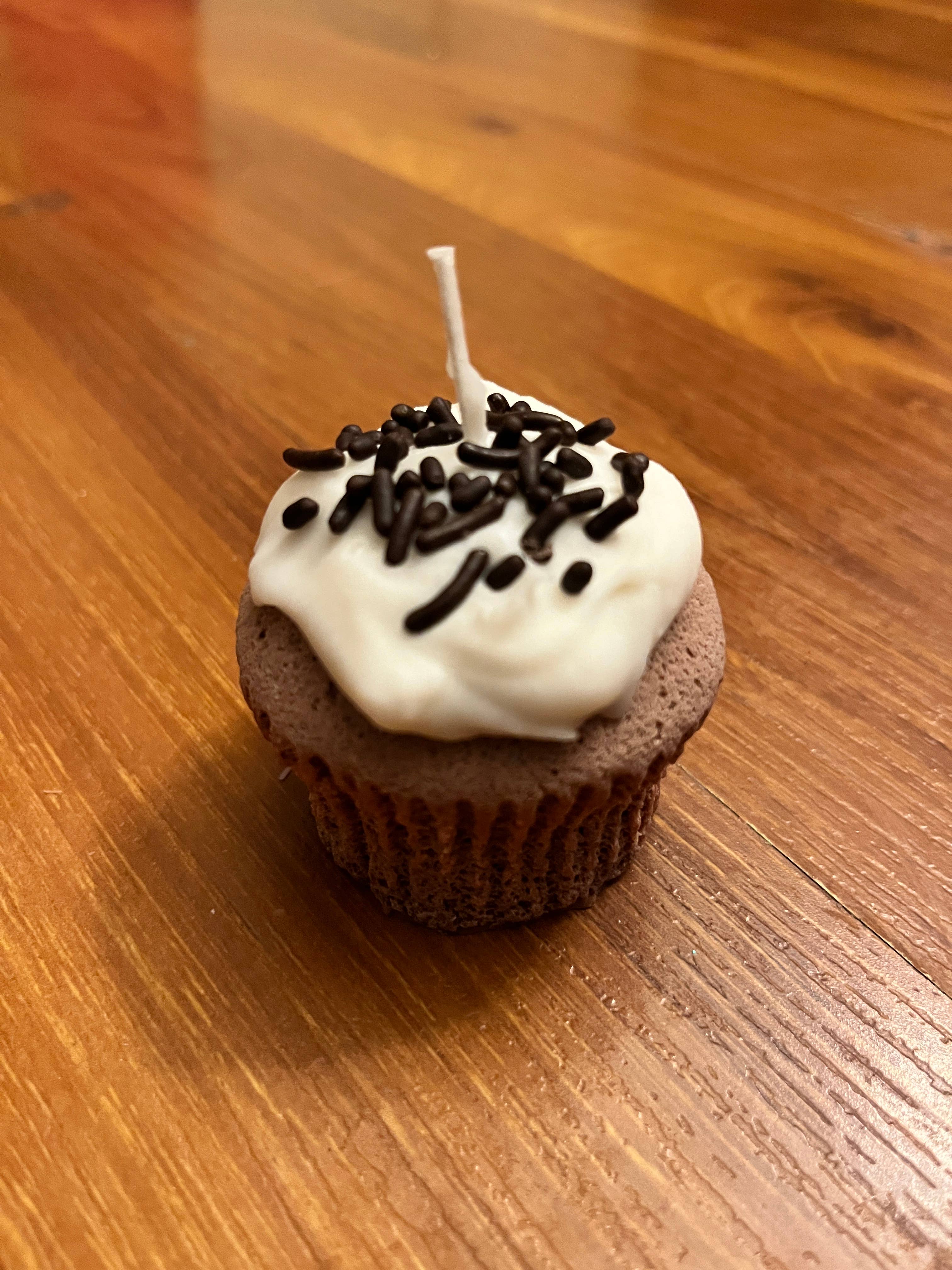 I Thought That Was Cake - Wholesale Novelty Candle - Cupcake Candle4