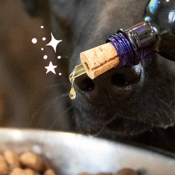 Truffe & Moustache - Wholesale Pet Supplement - Cat/Dog - Vegetable oil for dogs & cats, Omega 3 and 6, “Harmony”5