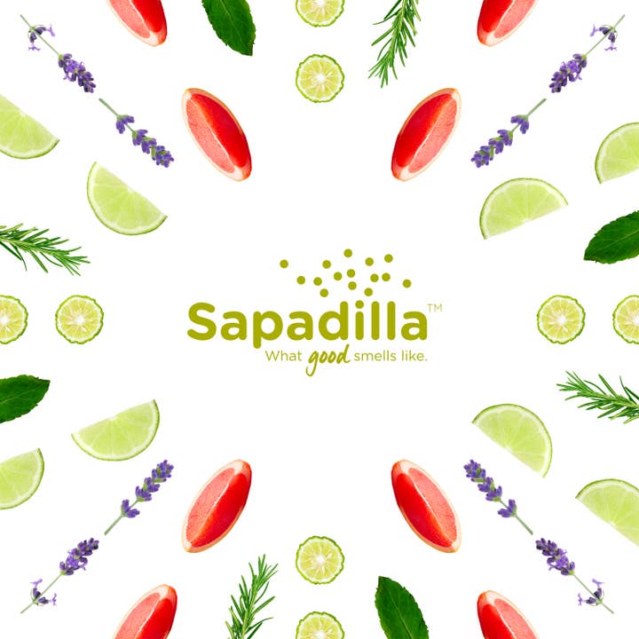 Sapadilla Soap Co - Wholesale Dish Soap - Dish Soap Bulk - 5 Gallon Bulk