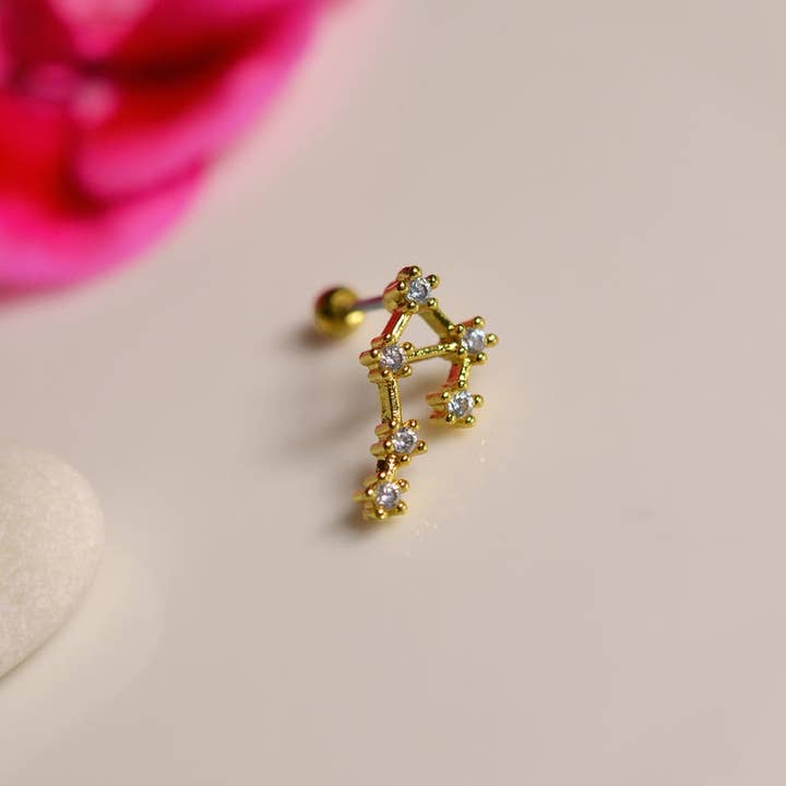 StockJWL - Wholesale Stud/Post Earrings - 12 Zodiac Earrings, Constellation Stud Earring Stud Piercing Tragus Helix Lobe and Cartilage Silver And Gold39