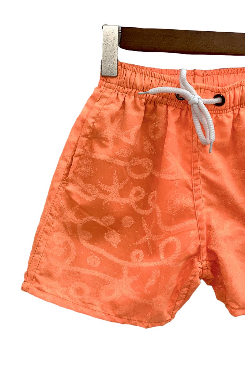 Assorted Magic Starfish Beach Shorts - Kids/MB2243 for wholesale on Faire4