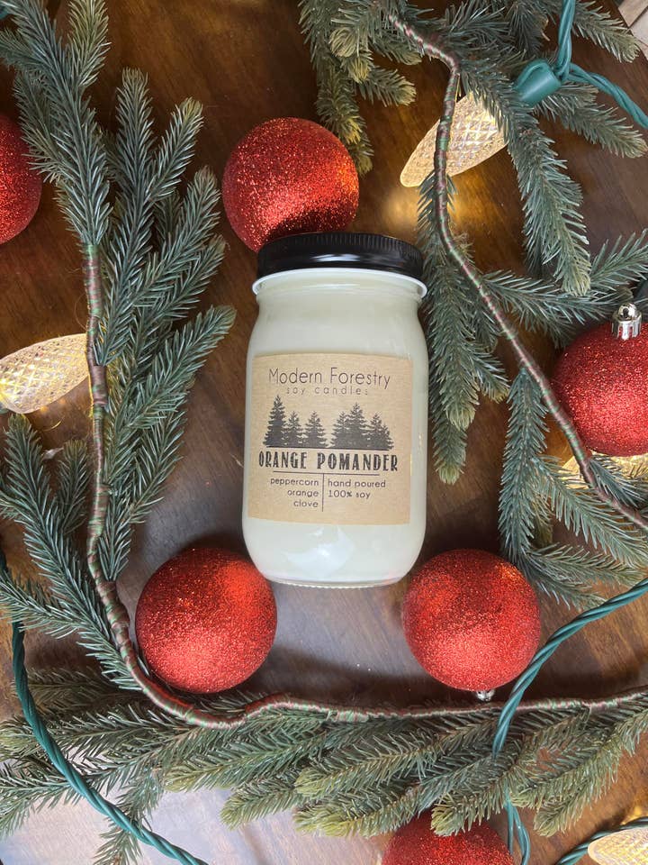 Wholesale Orange Pomander for wholesale by Modern Forestry