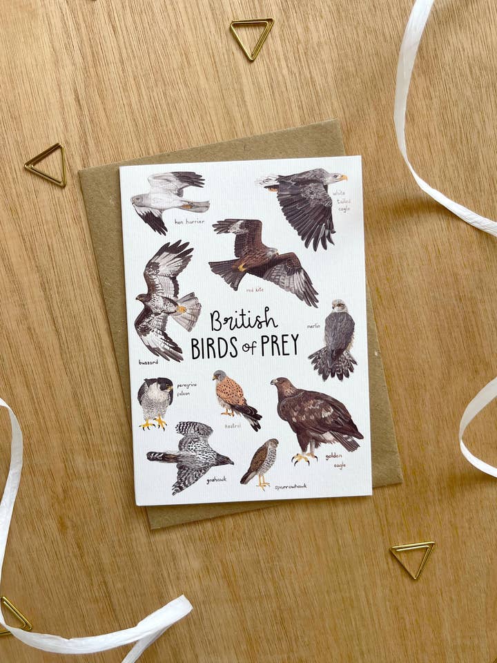 Britische Greifvogelkarte für den Großhandel von This Thursday